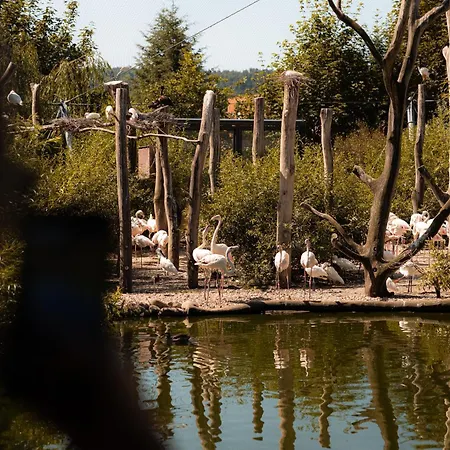 Art & * Двур-Кралове-над-Лабем