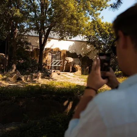 Хостел Art & *