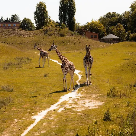 Хостел Art & Двур-Кралове-над-Лабем